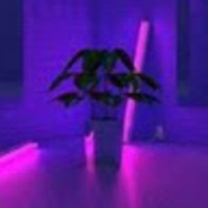 Meet your Posher, Lavendertea